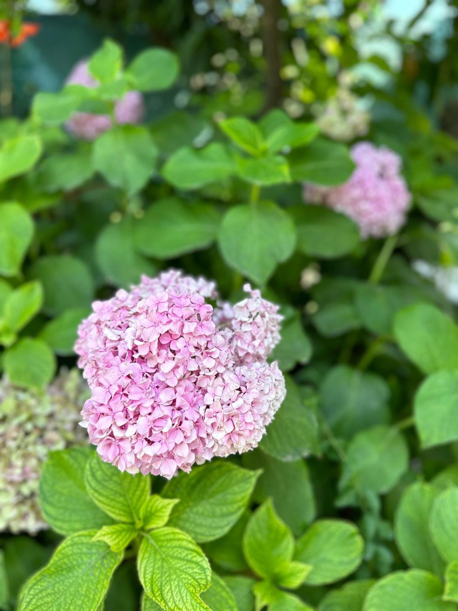 Flower'S Home Орікум Екстер'єр фото